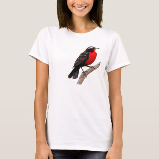 T-shirt peito-vermelho-grande (Sturnella defilippii),