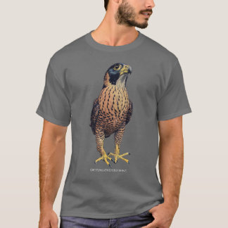 T-Shirt Pèlerin Faucon Pétunia