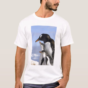 T-shirt Péninsule Antarctique, Neko Harbour, Gentoo