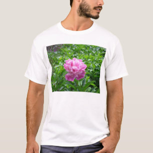 T-shirt Peony rose