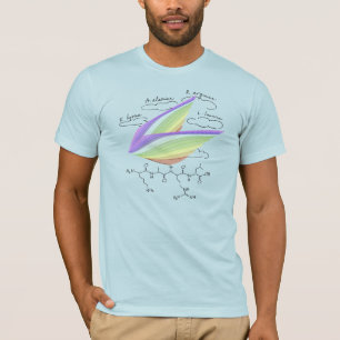T-shirt peptide KARL, thème AUC, texte personnalisé, clair