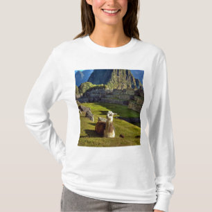 T-shirt Pérou, Andes, Montagnes des Andes, Machu Picchu
