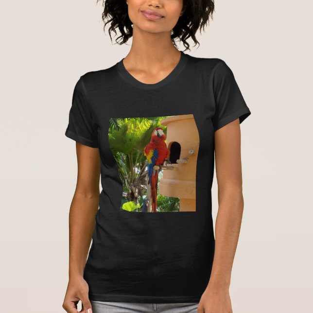 T-shirt perroquet 5 (Devant)