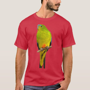 T-shirt Perroquet à ventre orange