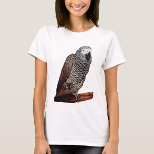 T-shirt Perroquet de gris africain