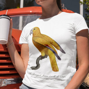 T-shirt Perroquet de Paradis de Cuba, Psittacus Paradisi