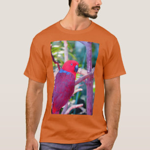 T-shirt Perroquet éclectique coloré