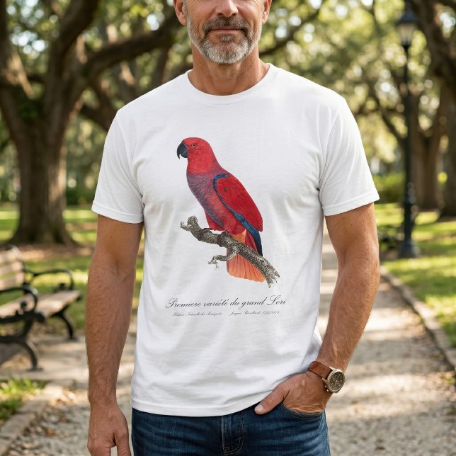 T-shirt Perroquet éclectus de Vosmaer, Eclectus Roratus Vo (Vosmaer Eclectus Parrot, Eclectus Roratus Vosmaeri. Men Basic White T-Shirt )