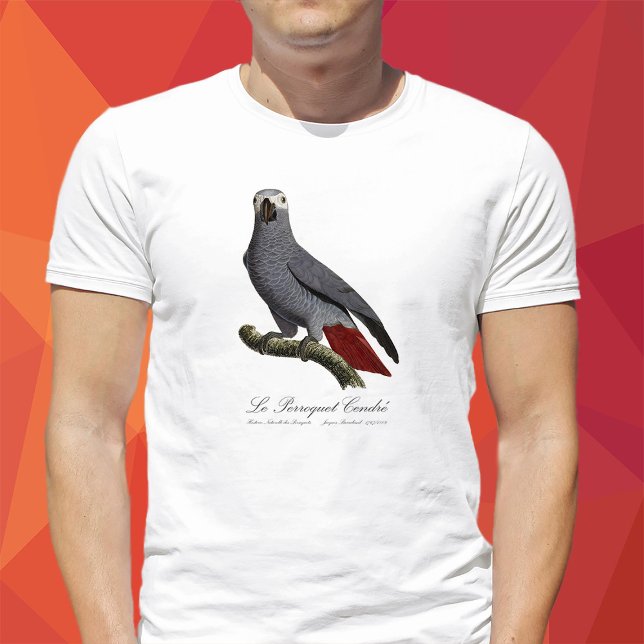 T-shirt Perroquet gris africain, Psittacus erithacus, vint (Le Perroquet Cendre - 19th century illustration. T-Shirt men)