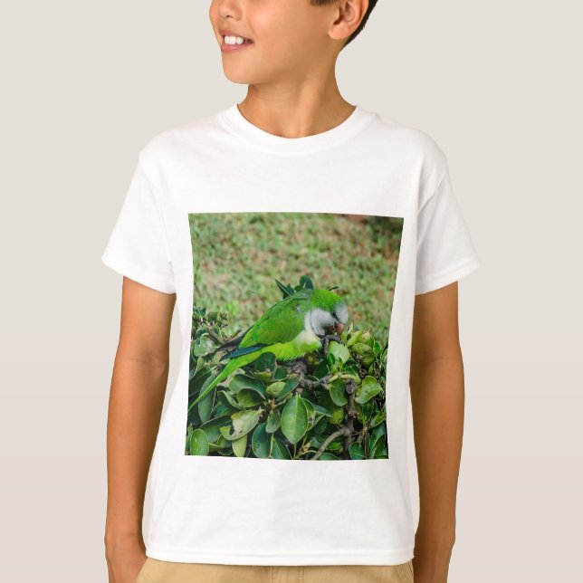 T-shirt Perroquet vert (Devant)