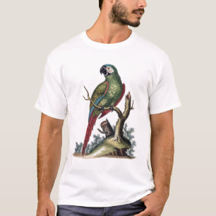 T-shirt Perroquet vert antique