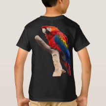 perroquets sur l'arbre