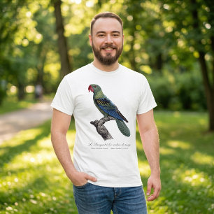 T-shirt Perruche à gros bec, Tanygnathus megalorynchos