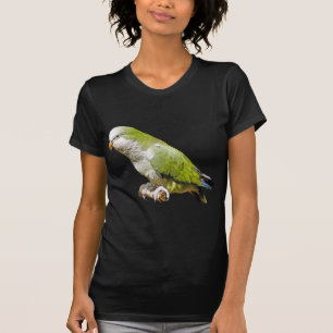 T-shirt Perruche de moine