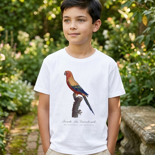 T-shirt Perruche soleil mâle, Aratinga solstitialis (Sun Parakeet Male, Aratinga Solstitialis. Boy Basic White T-Shirt )