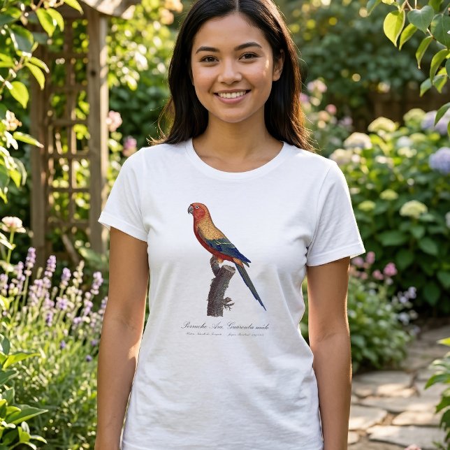 T-shirt Perruche soleil mâle, Aratinga solstitialis (Sun Parakeet Male, Aratinga Solstitialis. Women Basic White T-Shirt )