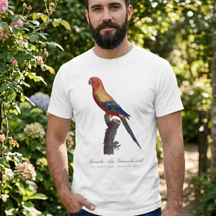 T-shirt Perruche soleil mâle, Aratinga solstitialis