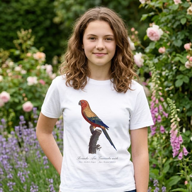 T-shirt Perruche soleil mâle, Aratinga solstitialis (Sun Parakeet Male, Aratinga Solstitialis. Girl Basic White T-Shirt )