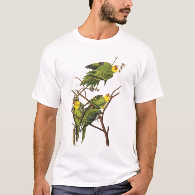 T-Shirt : Perruches - par John Audubon (Devant)