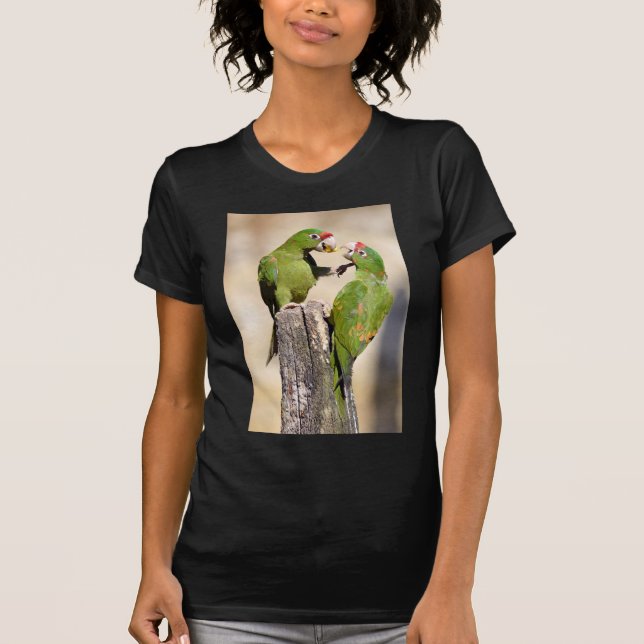 T-shirt Perruque Mitred sur poteau en bois (Devant)