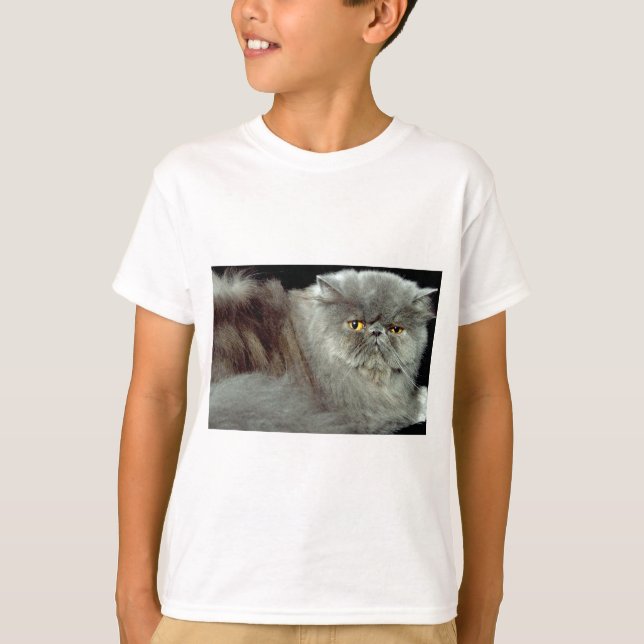 T-shirt Perse bleu (Devant)