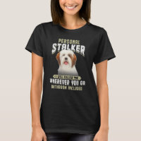 Personnelle Stalker Je Vais Vous Suivre Lhasa Apso