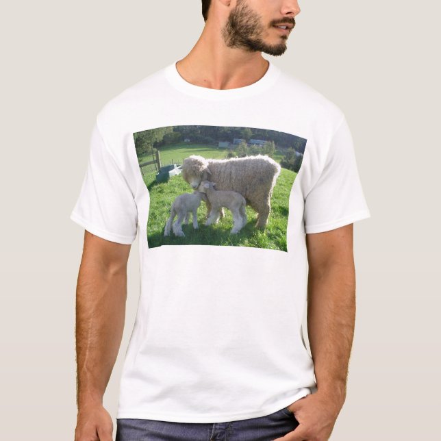 T-SHIRT PETIT AGNEAU (Devant)