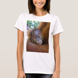 T-shirt Petit bébé Orangutan