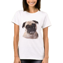 Petit chien mignon de carlin