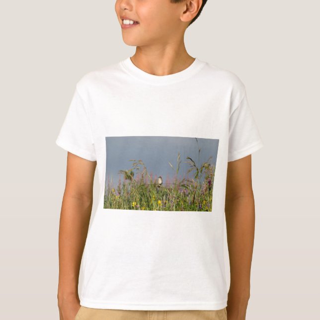 T-shirt Petit colibri gras (Devant)