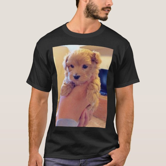 T-shirt Petit Doberman (Devant)