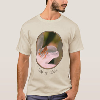 T-shirt Petit Grasshopper Sur Fleur Azalée Blanche