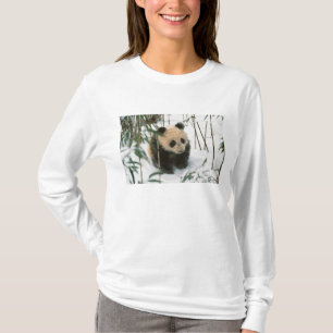 T-shirt Petit panda sur la neige, Wolong, Sichuan, Chine