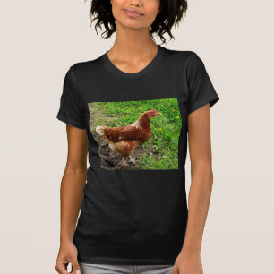 T-shirt Petit poulet rouge - couche libre d'oeufs de gamme