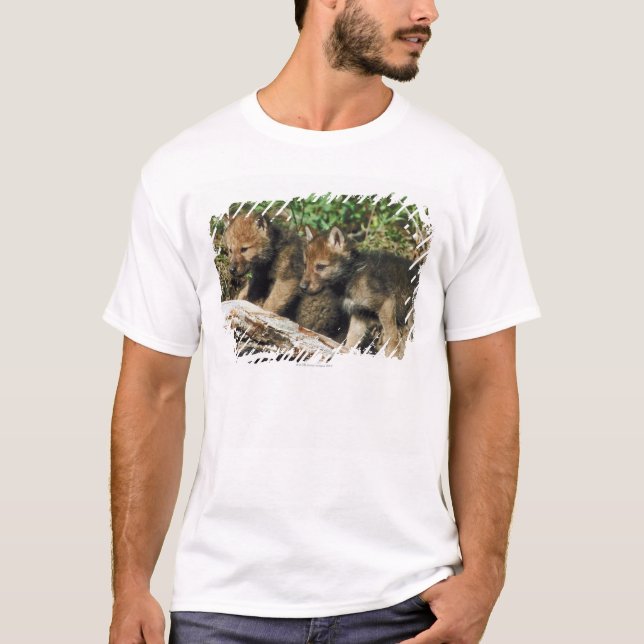 T-shirt Petits animaux de loup de bois de construction (Devant)