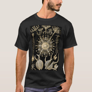 T-shirt Phaeodaria 61 Or Ernst Haeckel