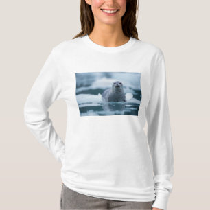 T-shirt phoque commun du pacifique, Phoca vitulina richard