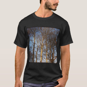 T-shirt Photo carré - Arbres d'hiver illuminés par le sole