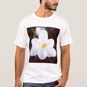 T-shirt Photo carrée - Crocus blanc
