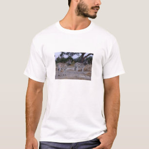 T-shirt Photo Zebra Double Take
