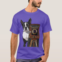 Photographe Boston Terrier 2