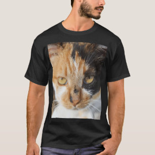 T-shirt Photographie de chat calicot multicolore coloré
