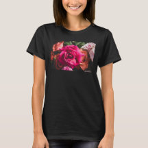 Photographie de fleur de rose rose vibrant floral