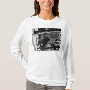 T-shirt Photographie de vue de cabine de lac diamond,