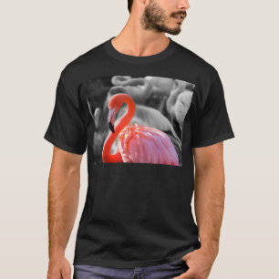 T-shirt Photographie d'oiseaux Flamants roses