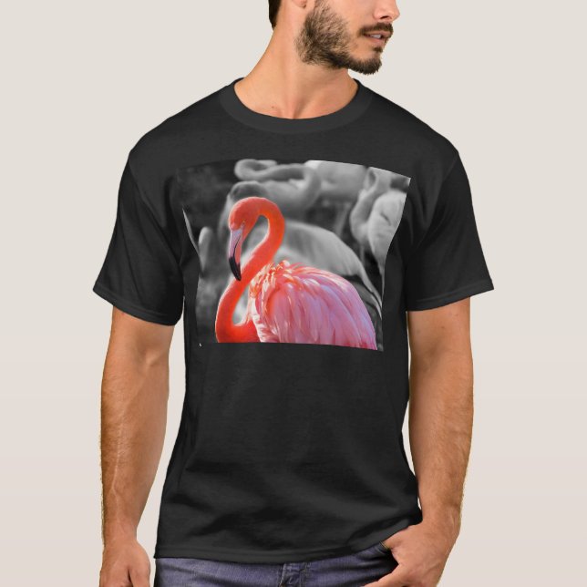 T-shirt Photographie d'oiseaux Flamants roses (Devant)