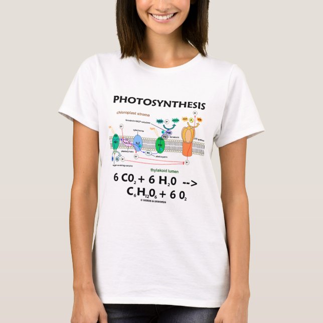 T-shirt Photosynthèse (anhydride carbonique + L'eau) (Devant)