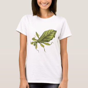 T-shirt Phyllium Siccifolia