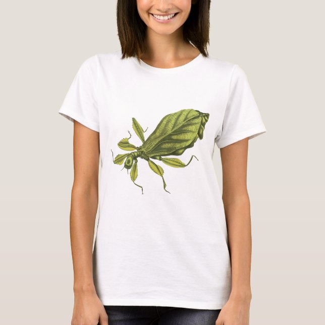 T-shirt Phyllium Siccifolia (Devant)