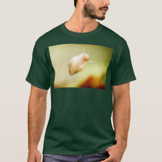 T-shirt Physidae escargots de la vessie d'escargots famill